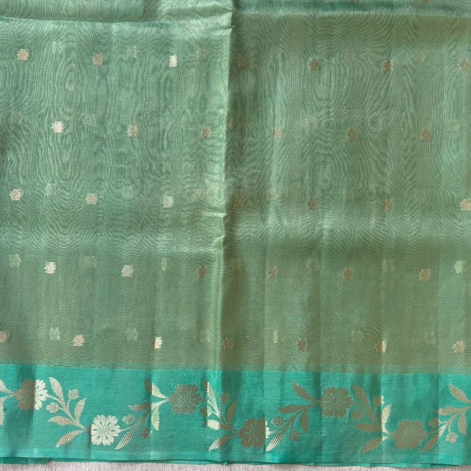 Light green Banarasi Tissue silk with satin boarder