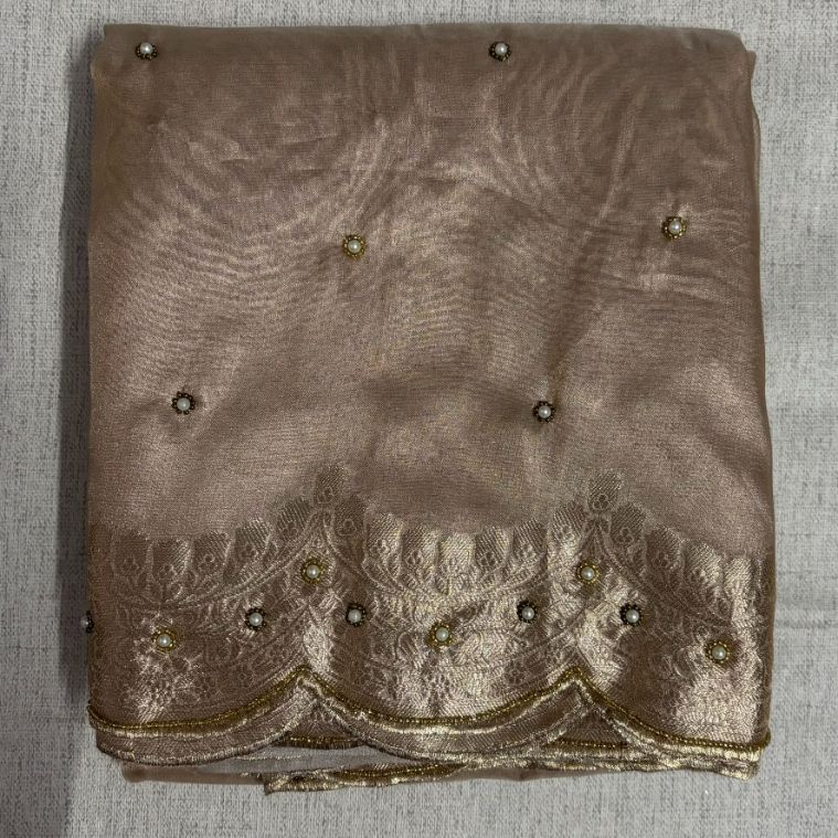 Soft Glass Tissue Aari Handwork saree