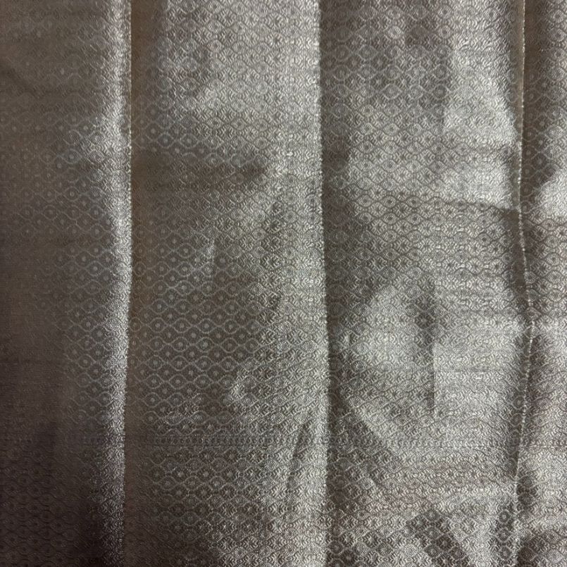 Soft Glass Tissue Aari Handwork saree