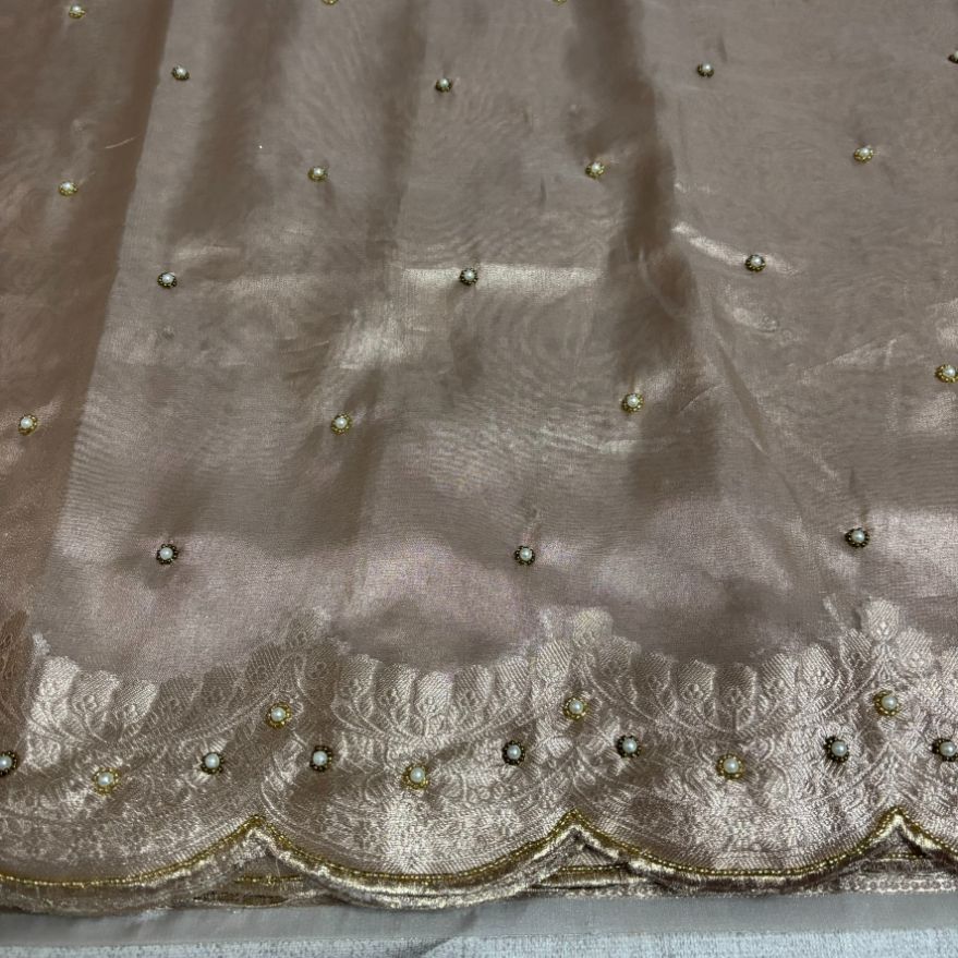 Soft Glass Tissue Aari Handwork saree